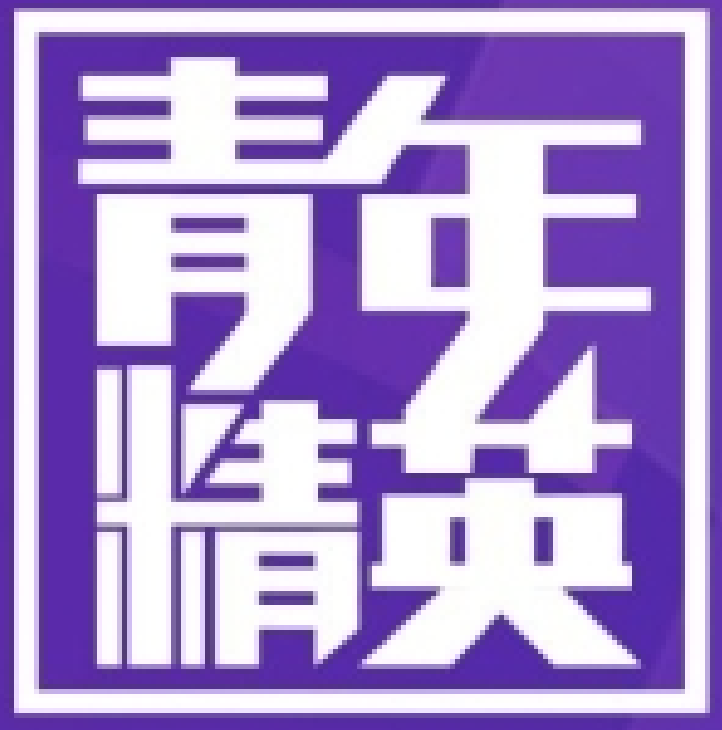 Chaoyang District 'Youth Elite' Internship Program logo
