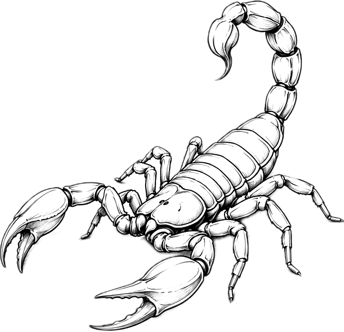 Scorpion line illustration
